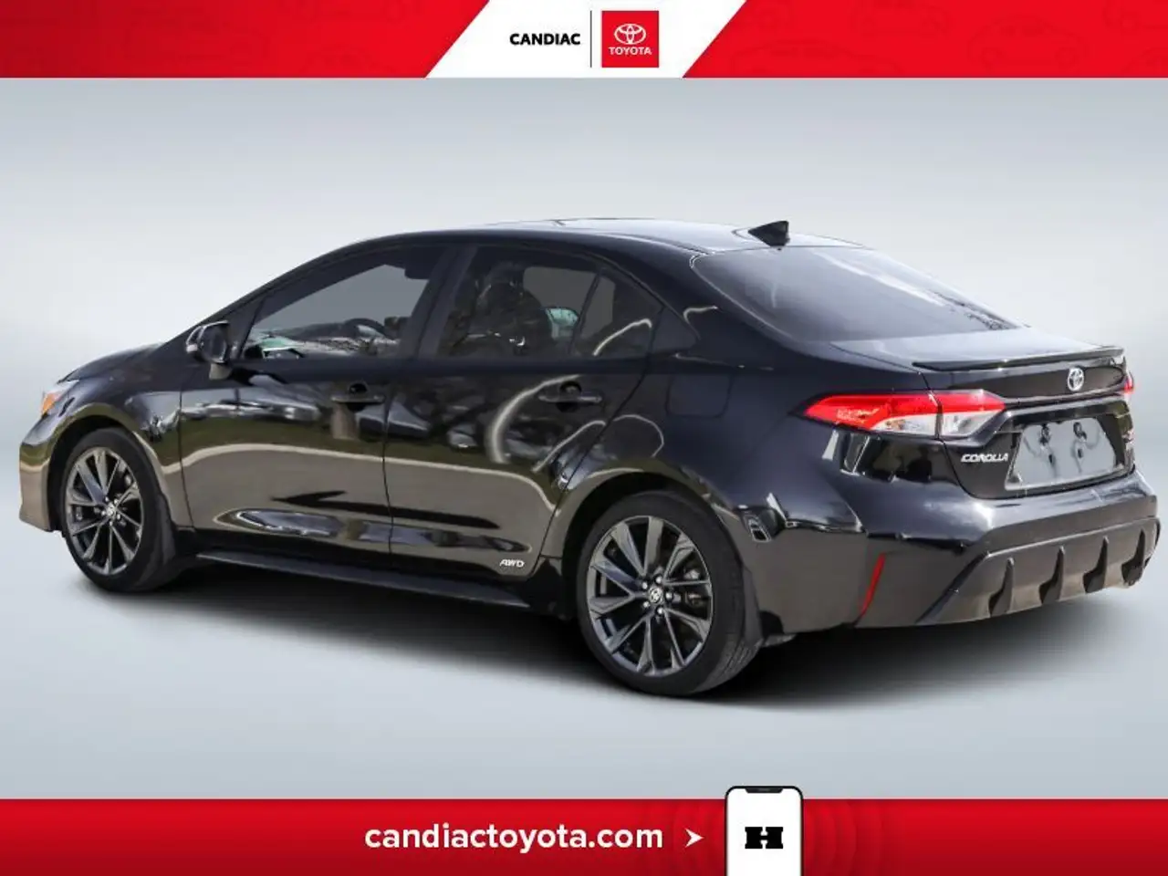 Toyota Corolla fotografie Toyota Corolla