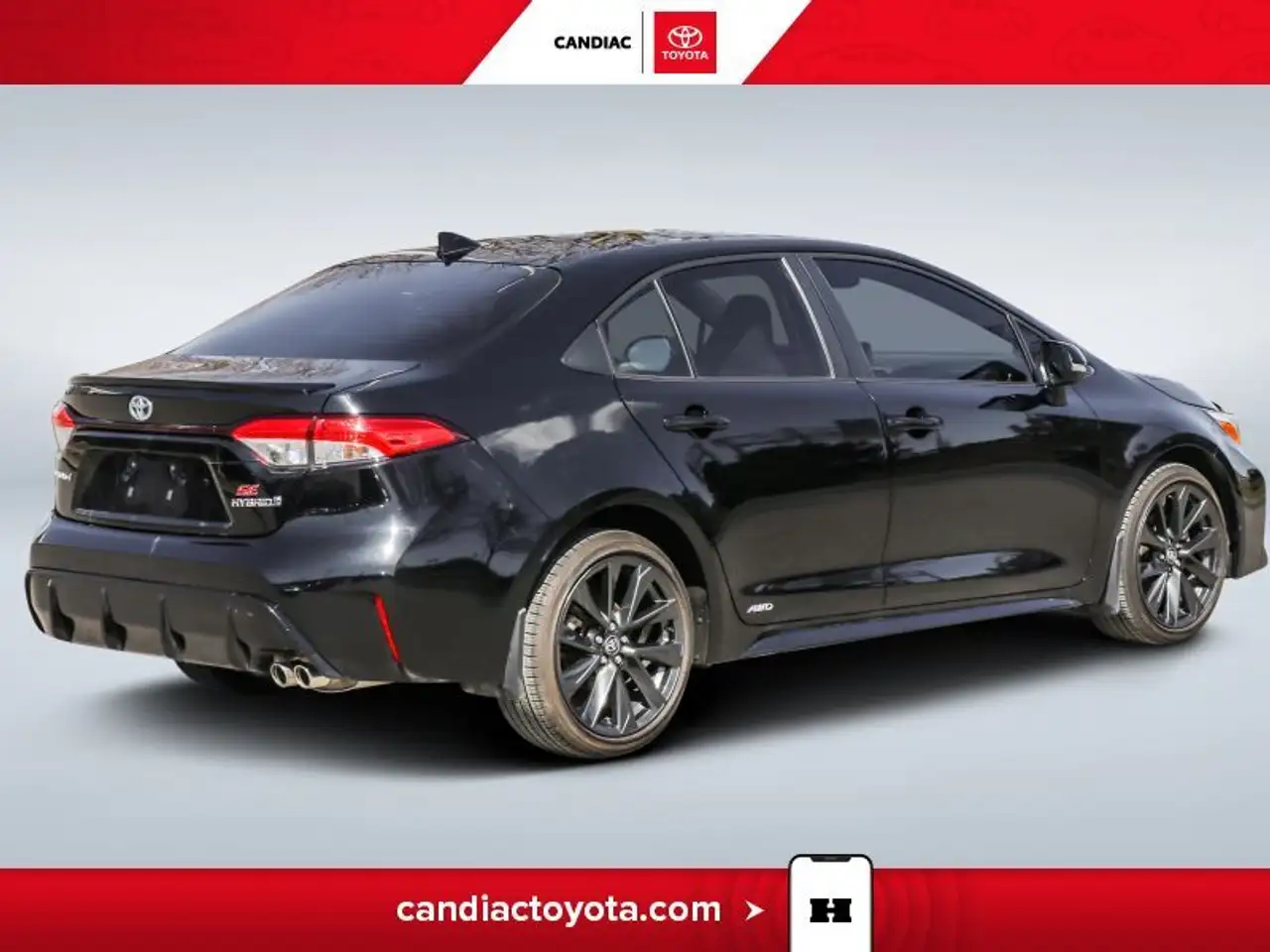 Toyota Corolla fotografie Toyota Corolla