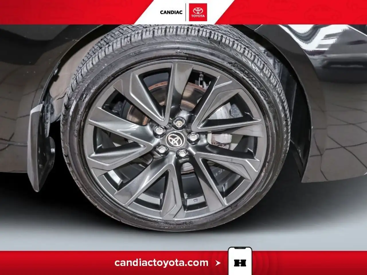 Toyota Corolla fotografie Toyota Corolla