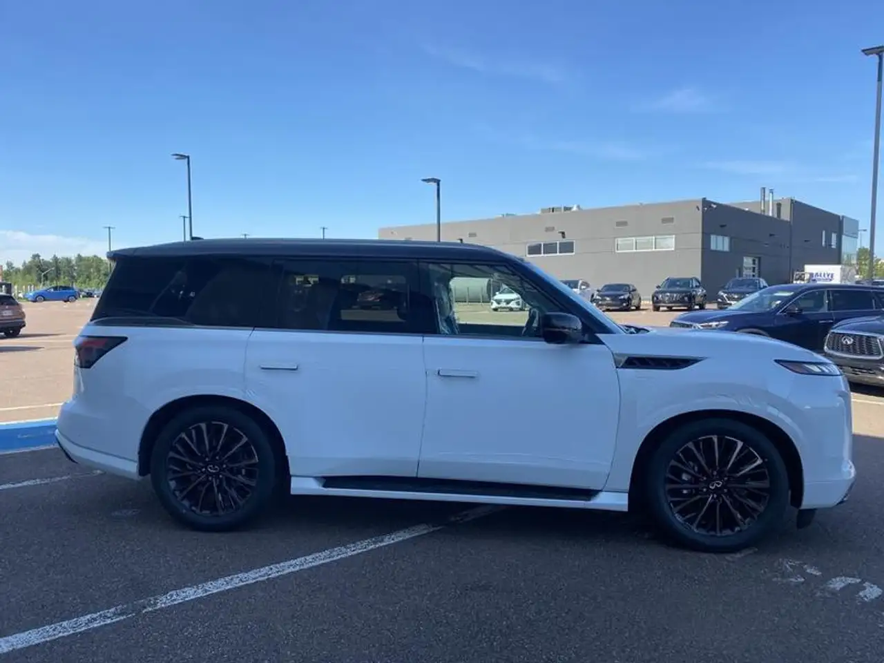Infiniti QX80 снимка Infiniti QX80