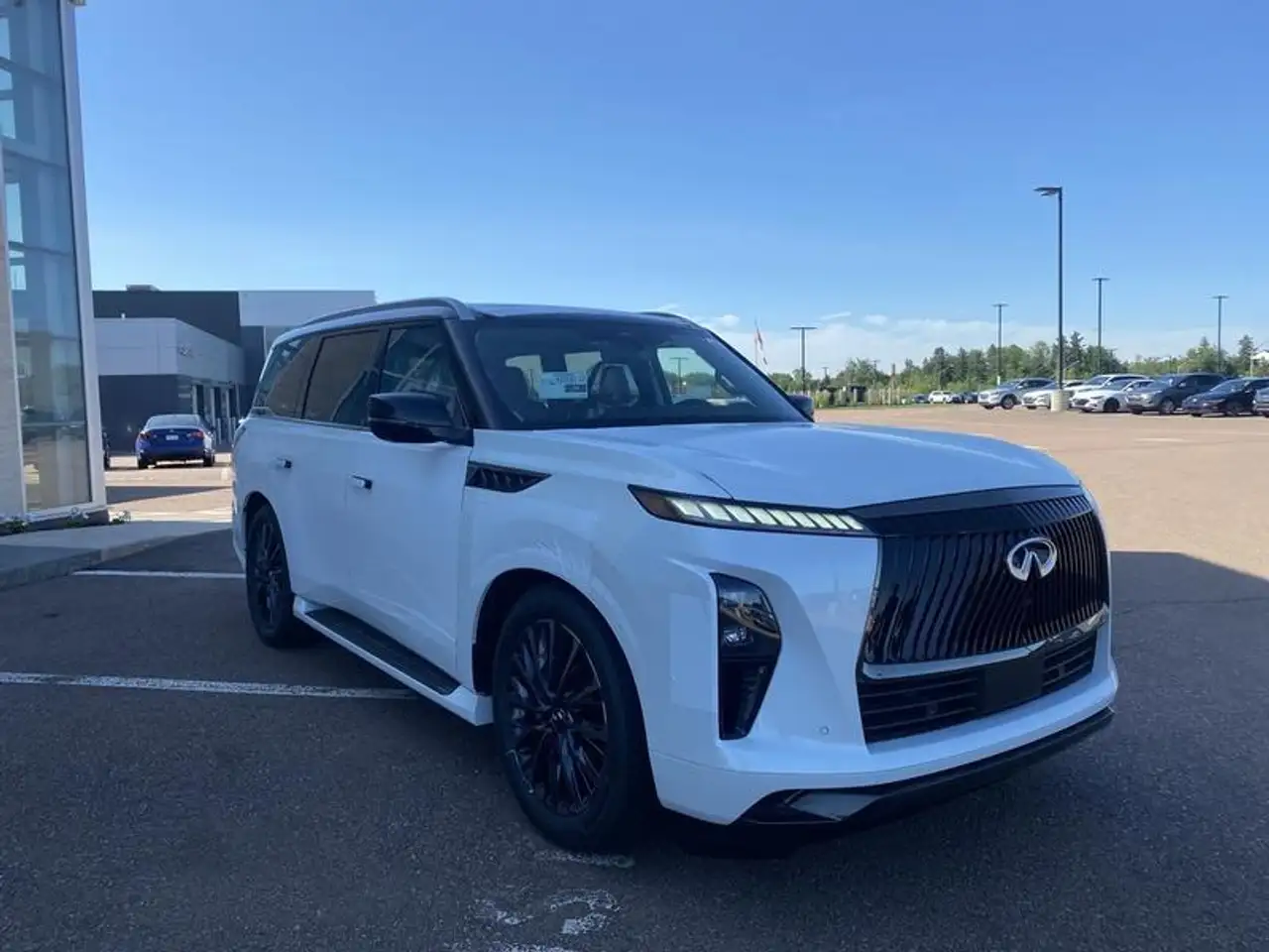 Infiniti QX80 снимка Infiniti QX80