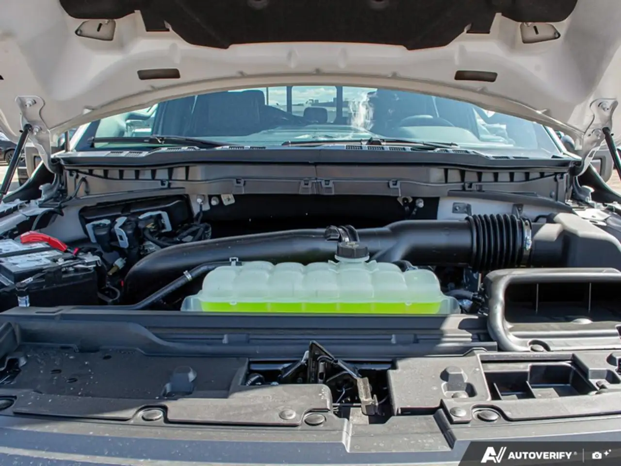 Ford F 150 fotografie Ford F 150
