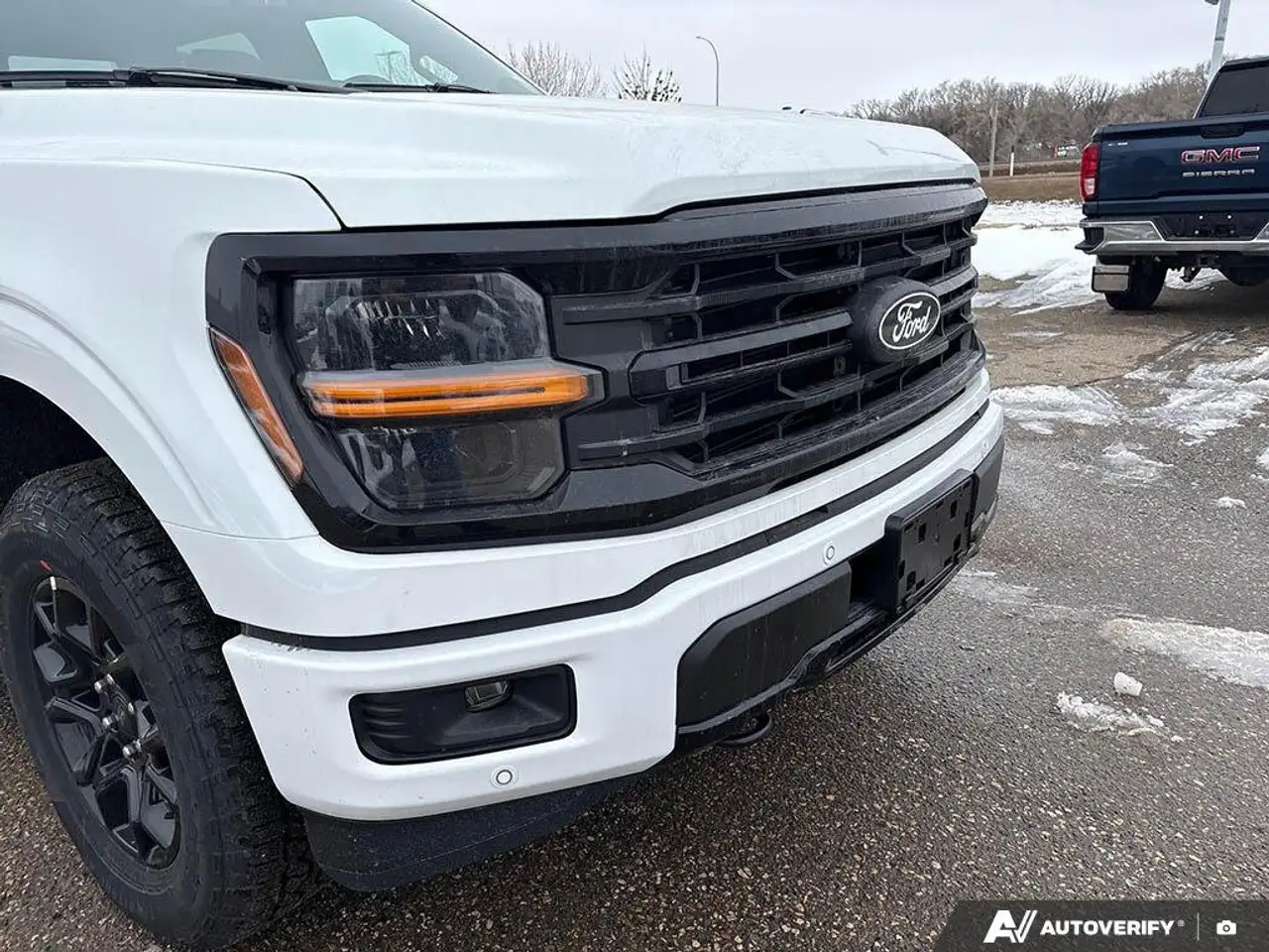 Ford F 150 снимка Ford F 150