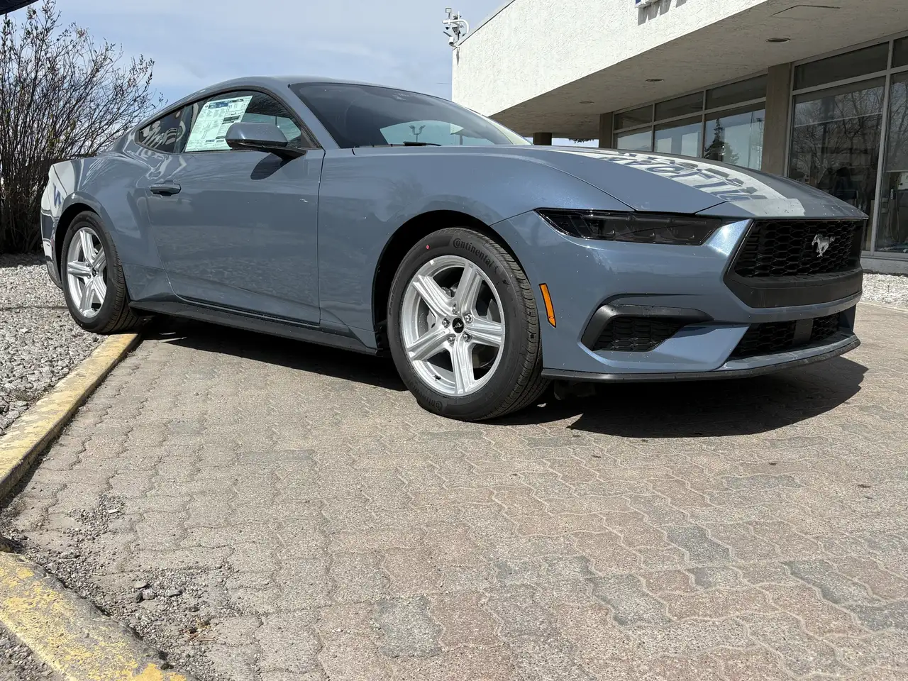 Ford Mustang снимка Ford Mustang