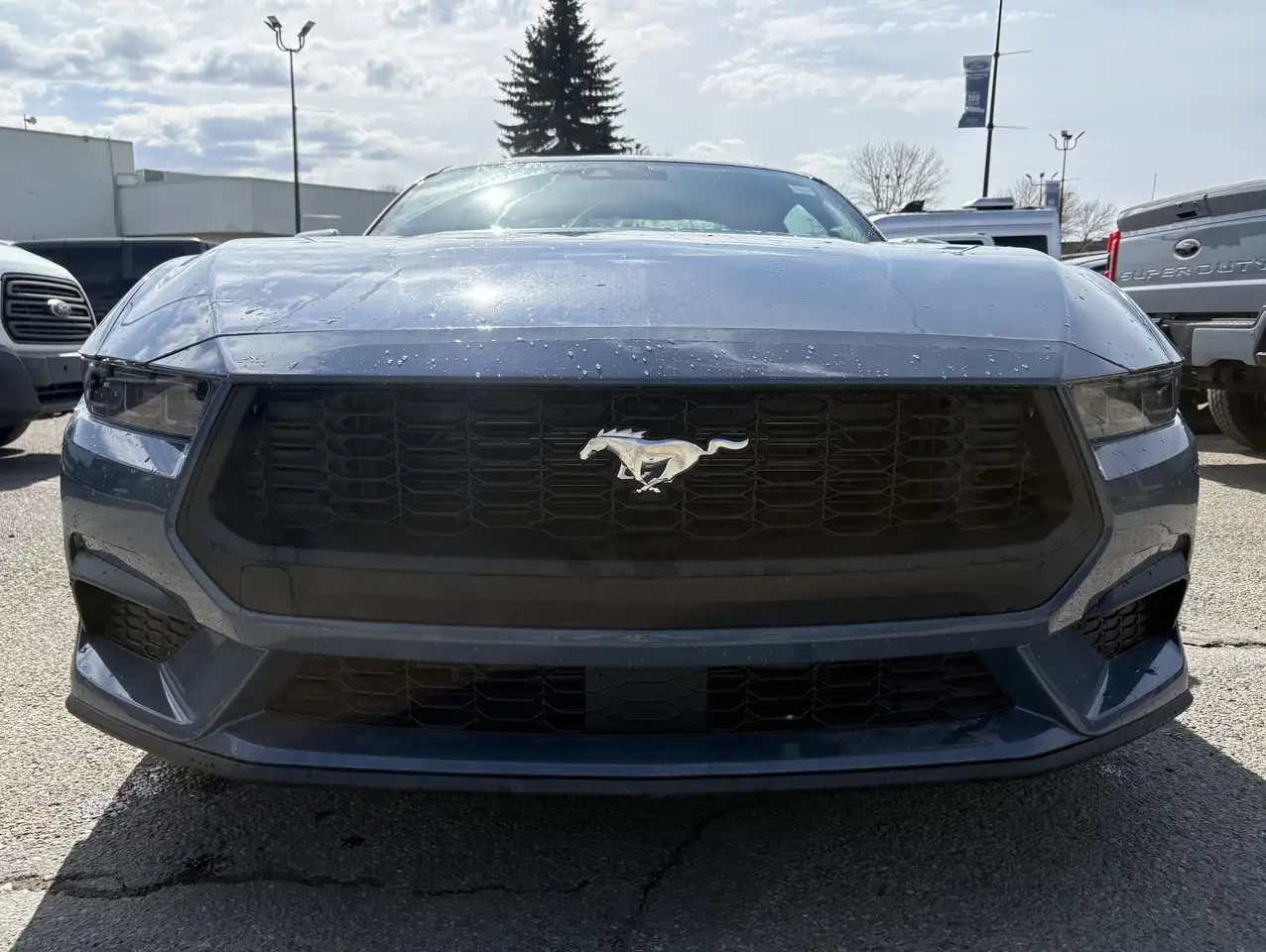 Ford Mustang снимка Ford Mustang