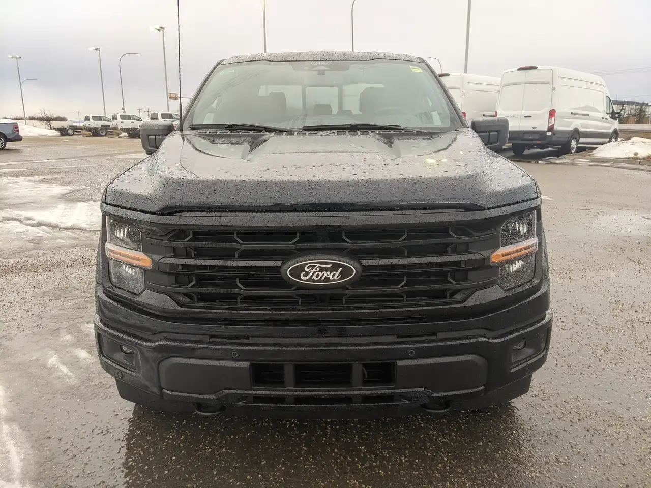Ford F 150 fotografie Ford F 150
