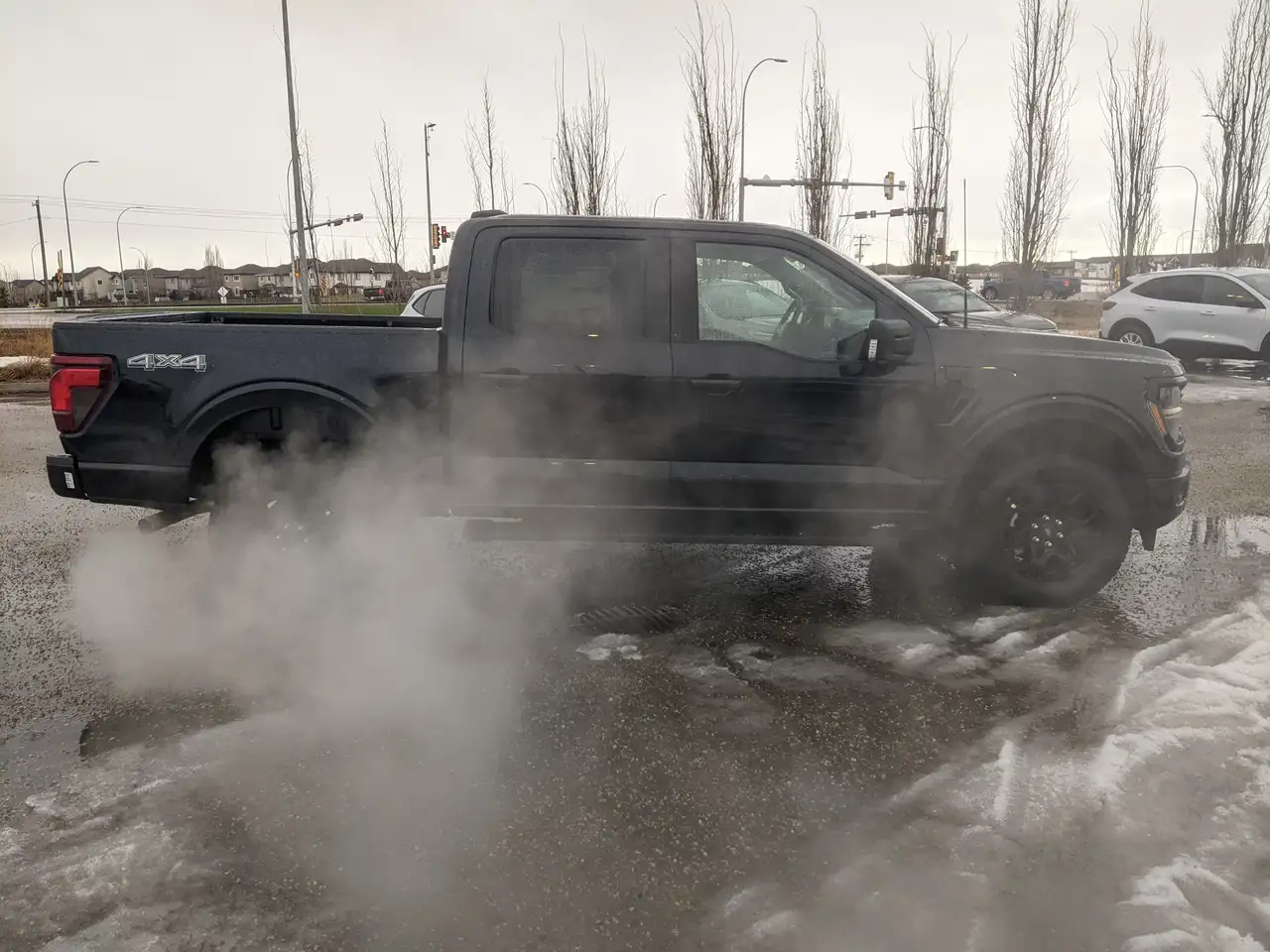 Ford F 150 fotografie Ford F 150