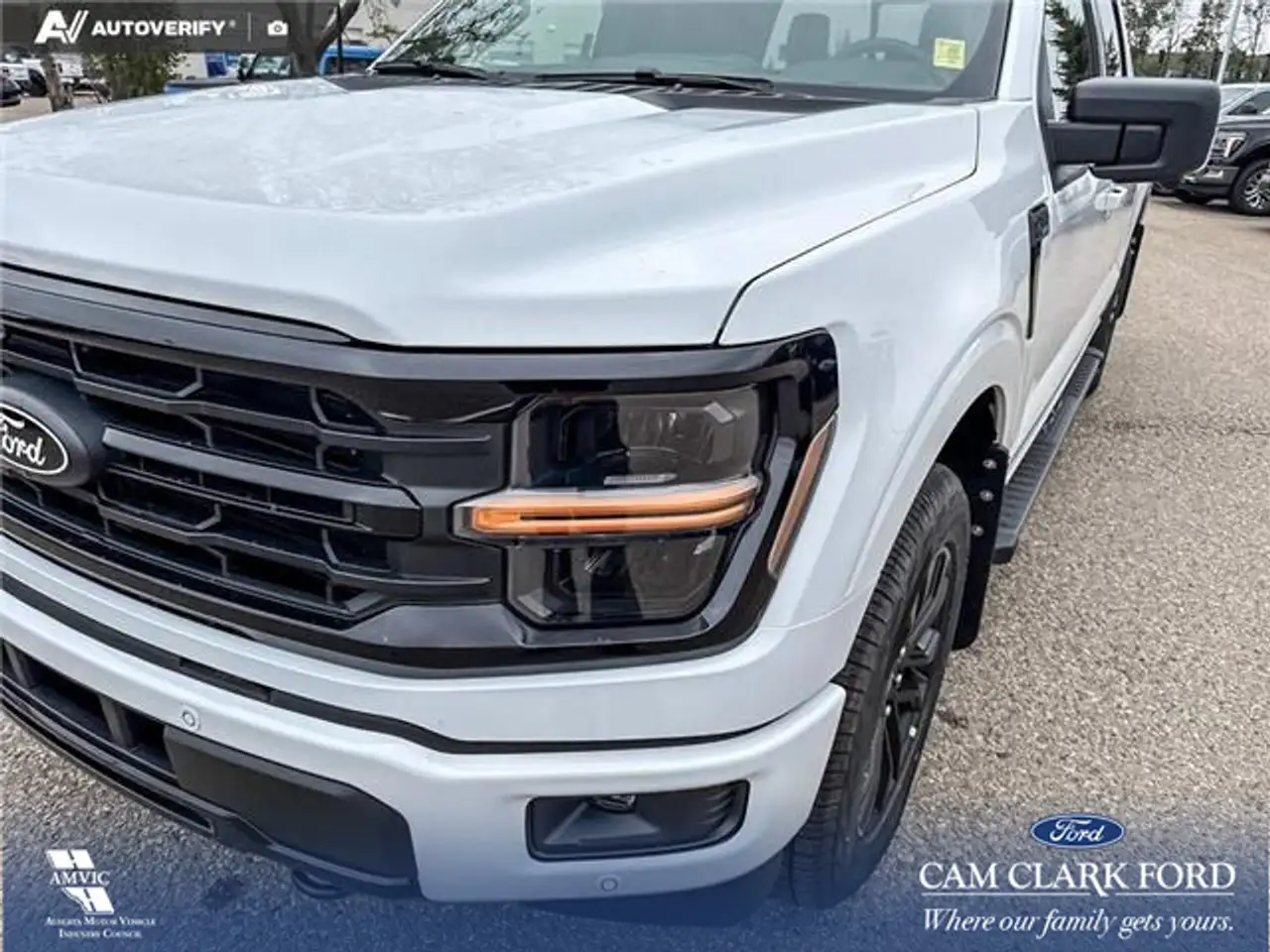 Ford F 150 fotografie Ford F 150