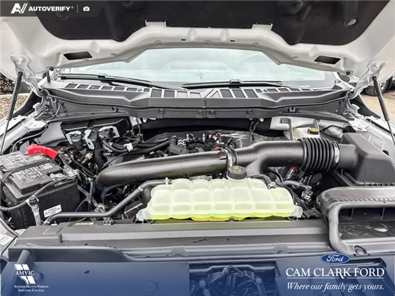 Ford F 150 fotografie Ford F 150