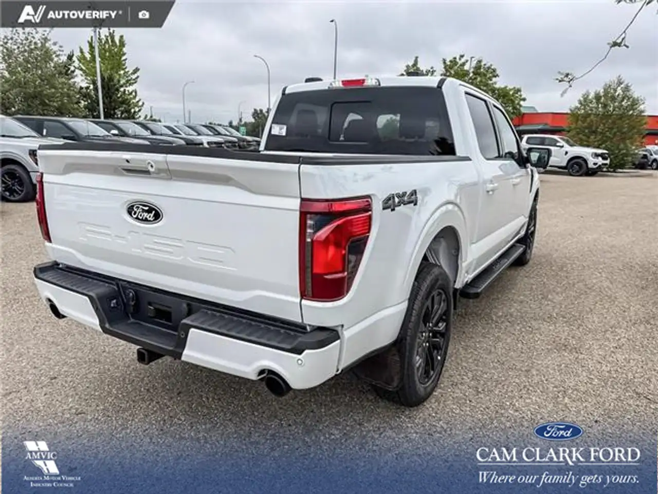 Ford F 150 fotografie Ford F 150