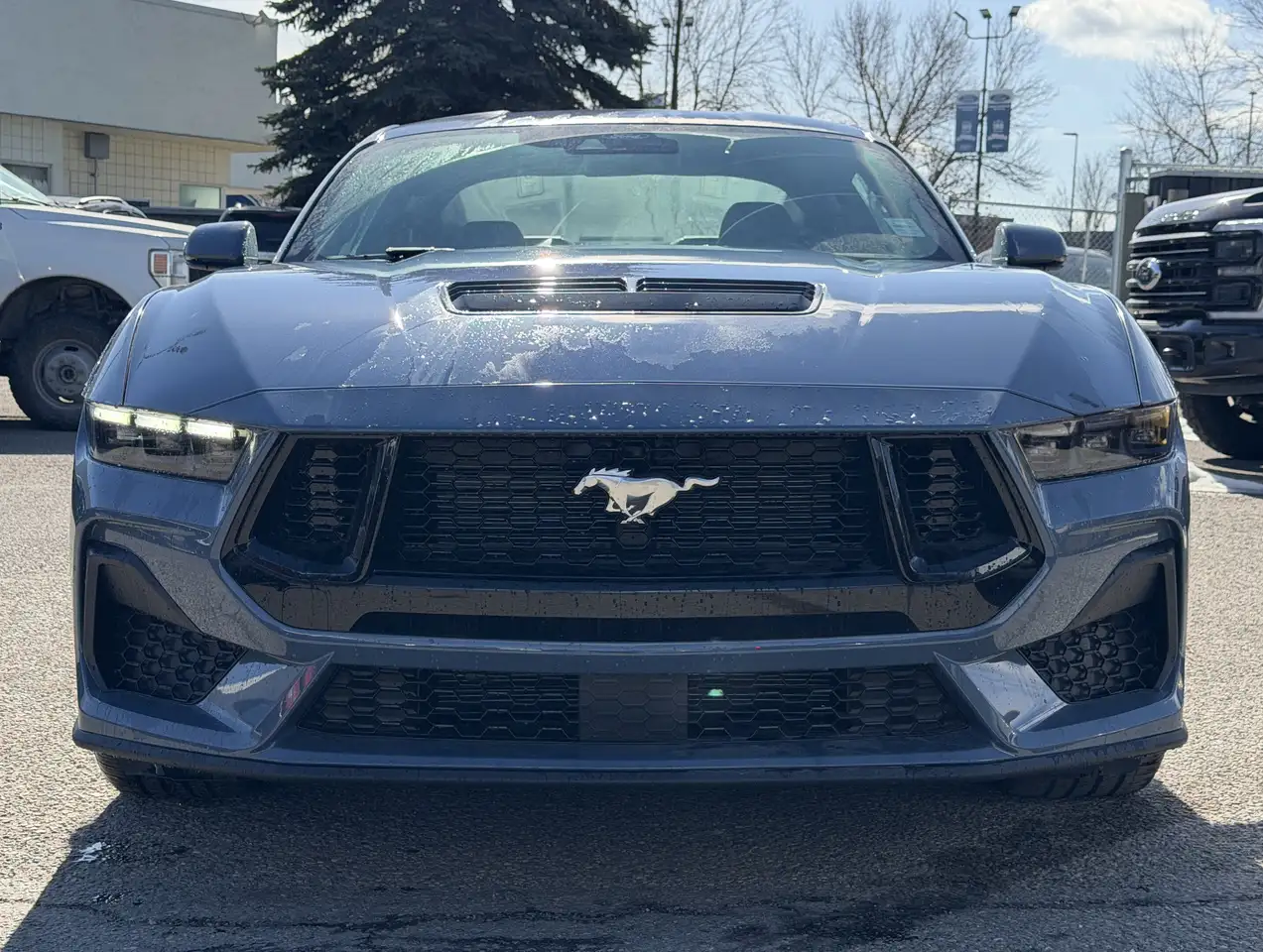 Ford Mustang fotografie Ford Mustang