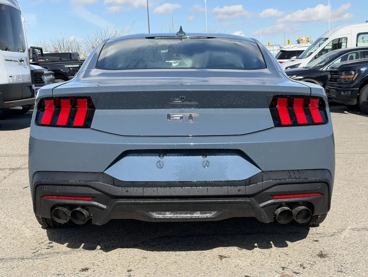 Ford Mustang fotografie Ford Mustang