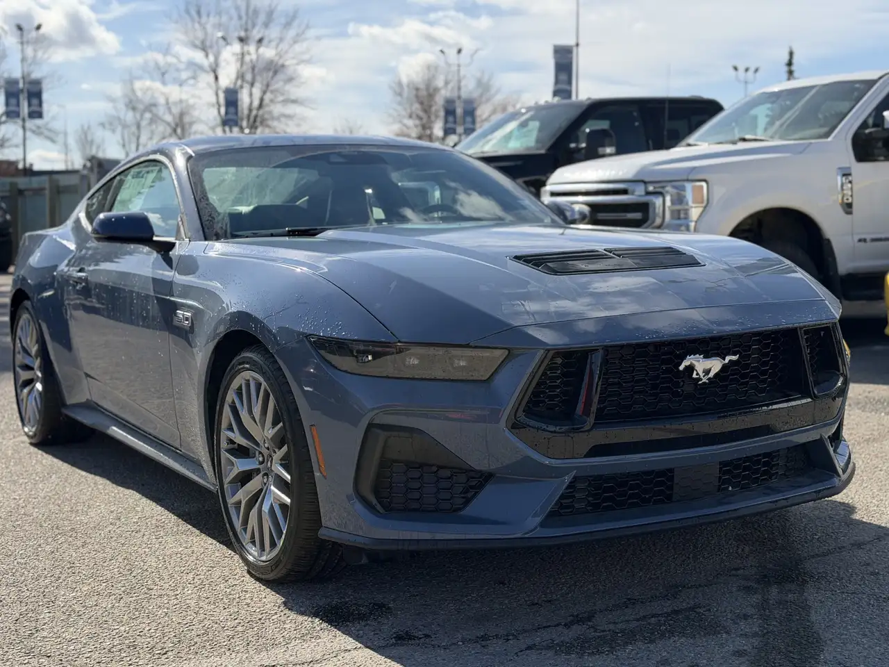 Ford Mustang fotografie Ford Mustang