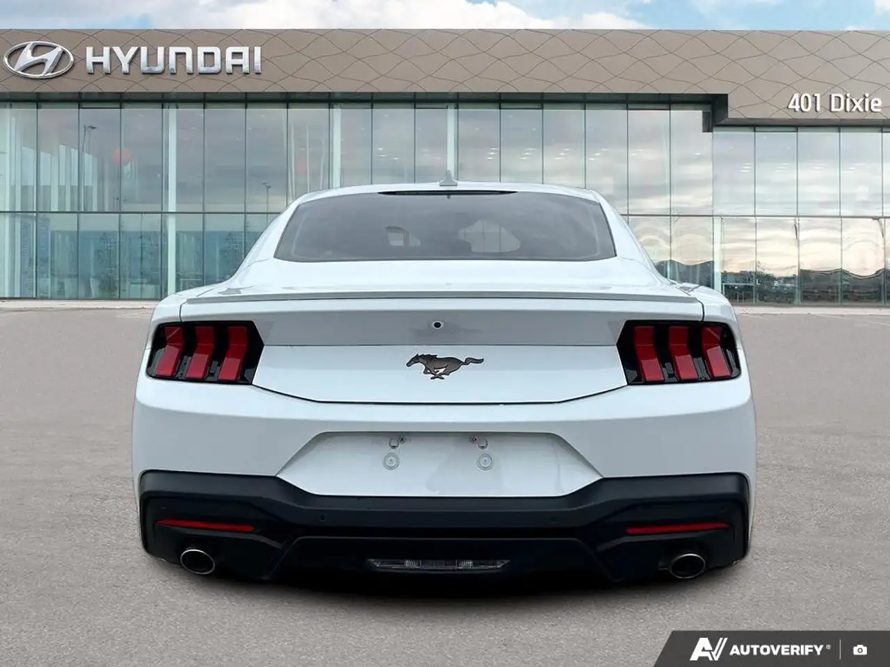 Ford Mustang fotografie Ford Mustang