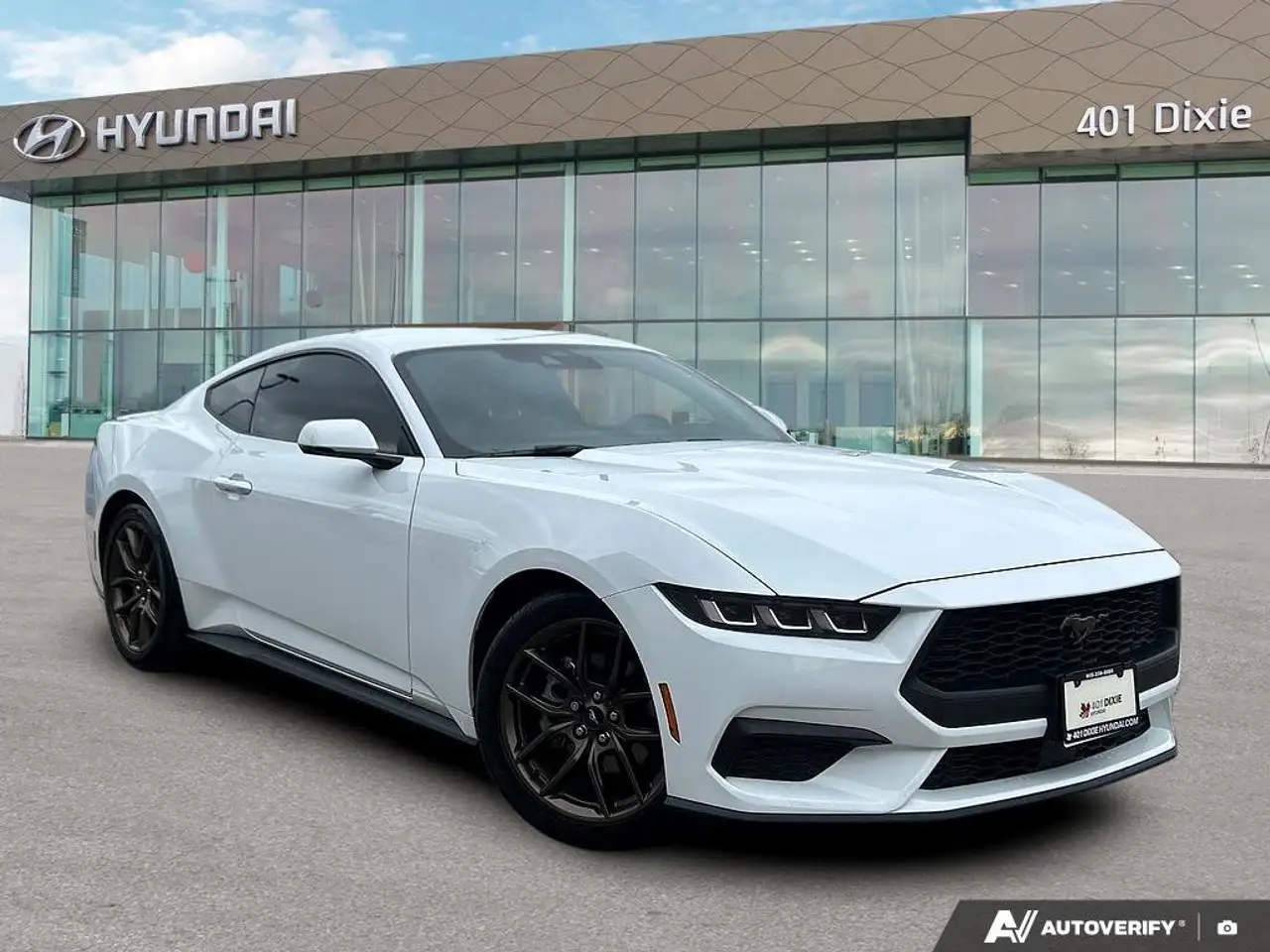 Ford Mustang fotografie Ford Mustang
