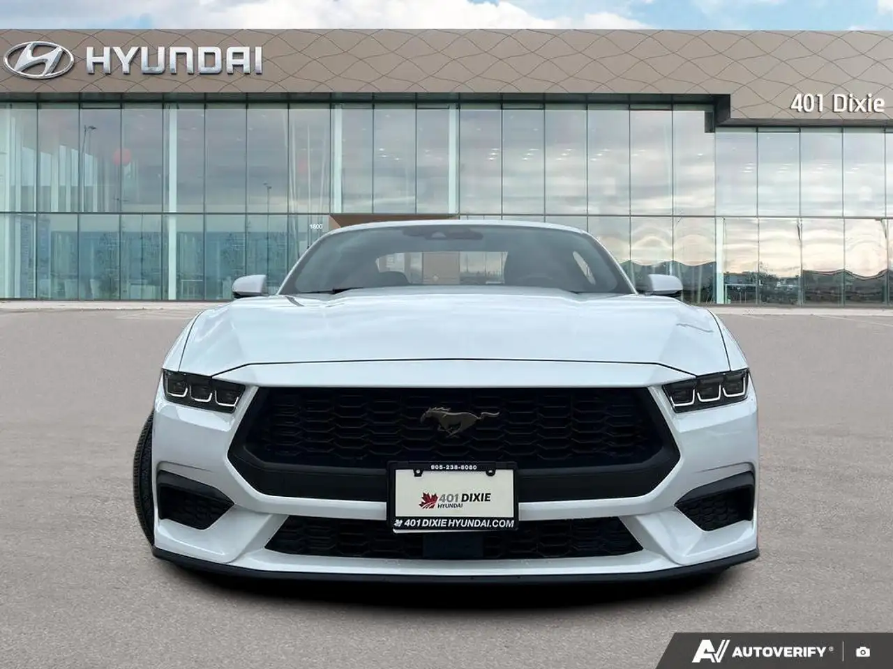Ford Mustang fotografie Ford Mustang