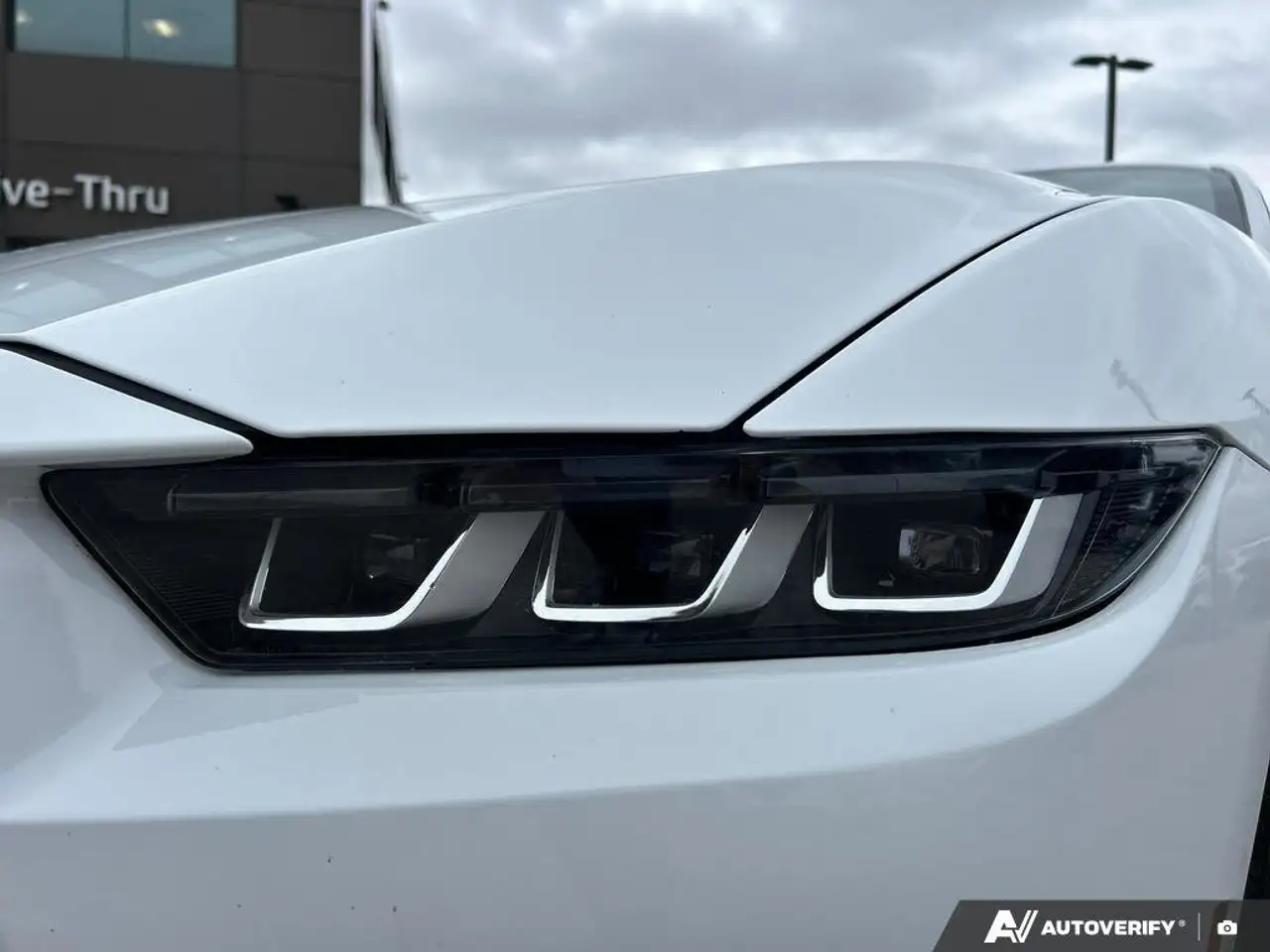 Ford Mustang fotografie Ford Mustang
