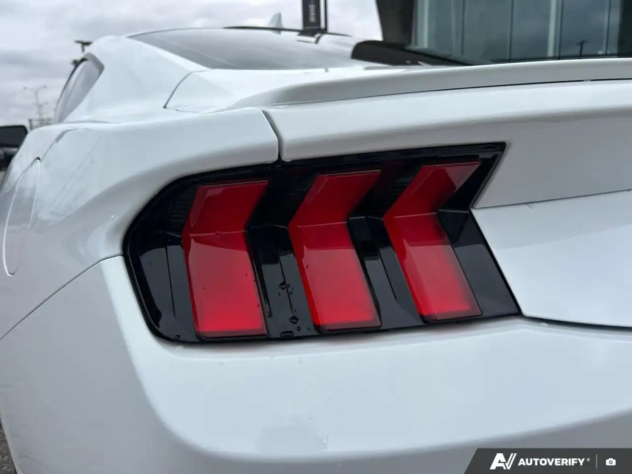 Ford Mustang fotografie Ford Mustang