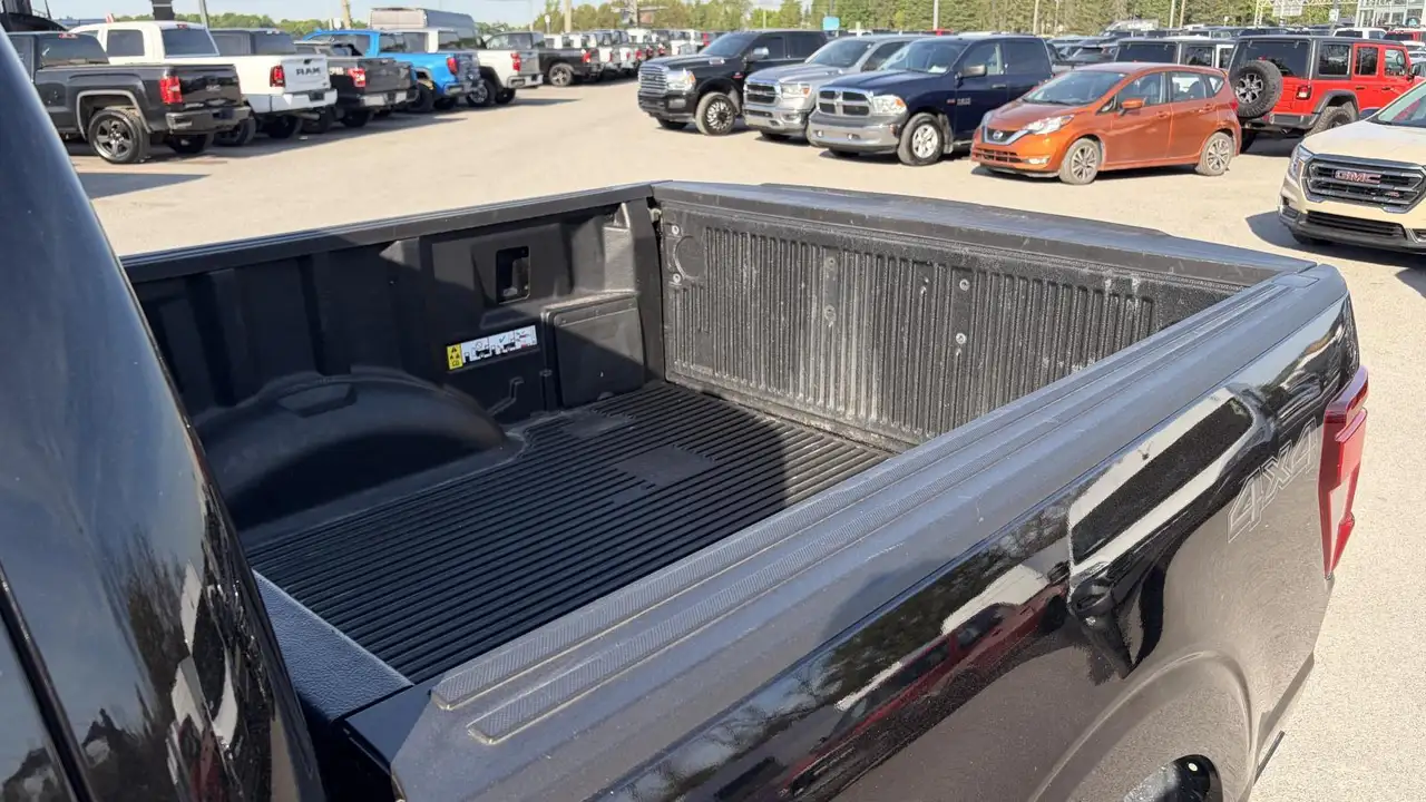 Ford F 150 fotografie Ford F 150