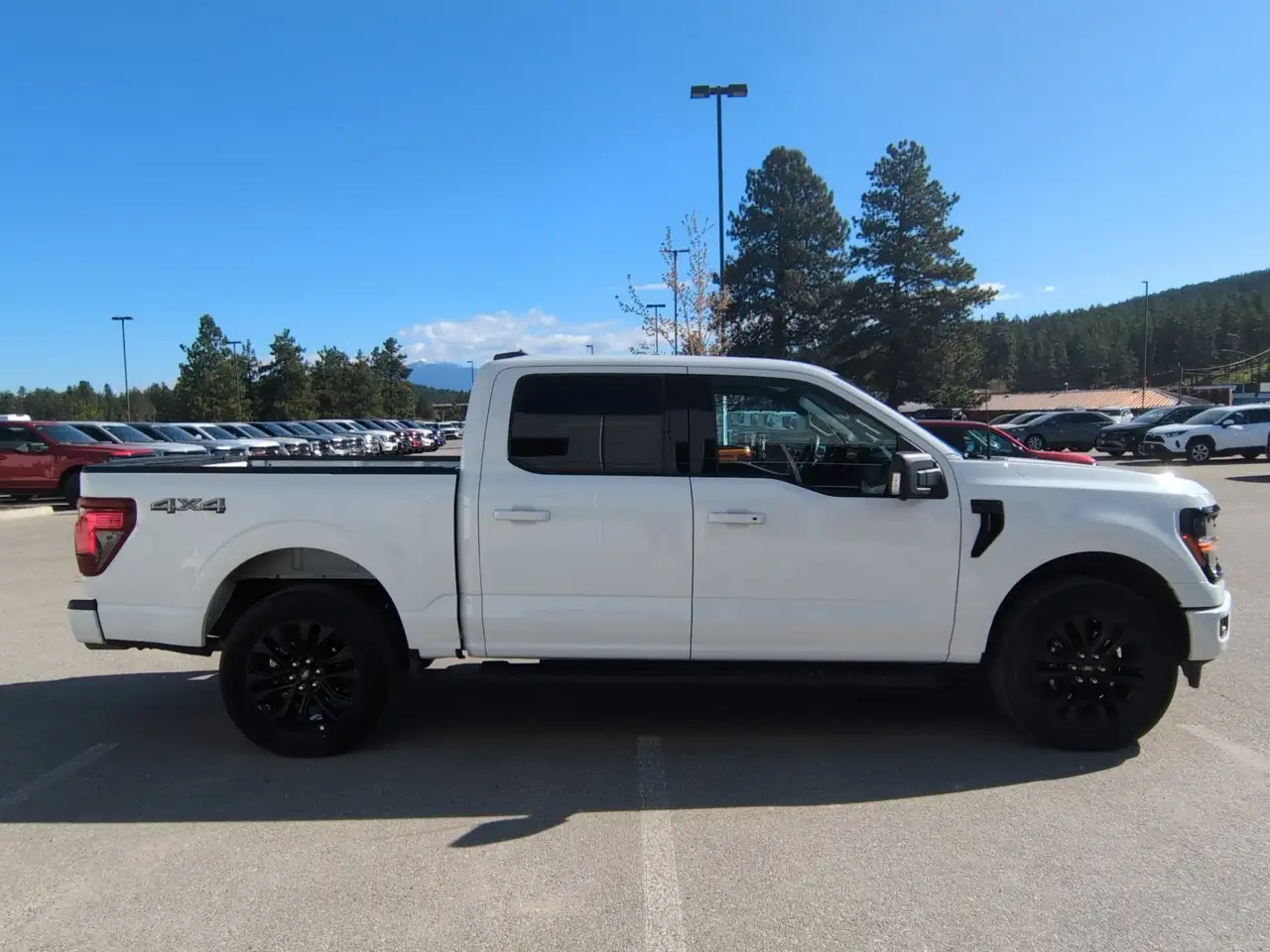 Ford F 150 снимка Ford F 150