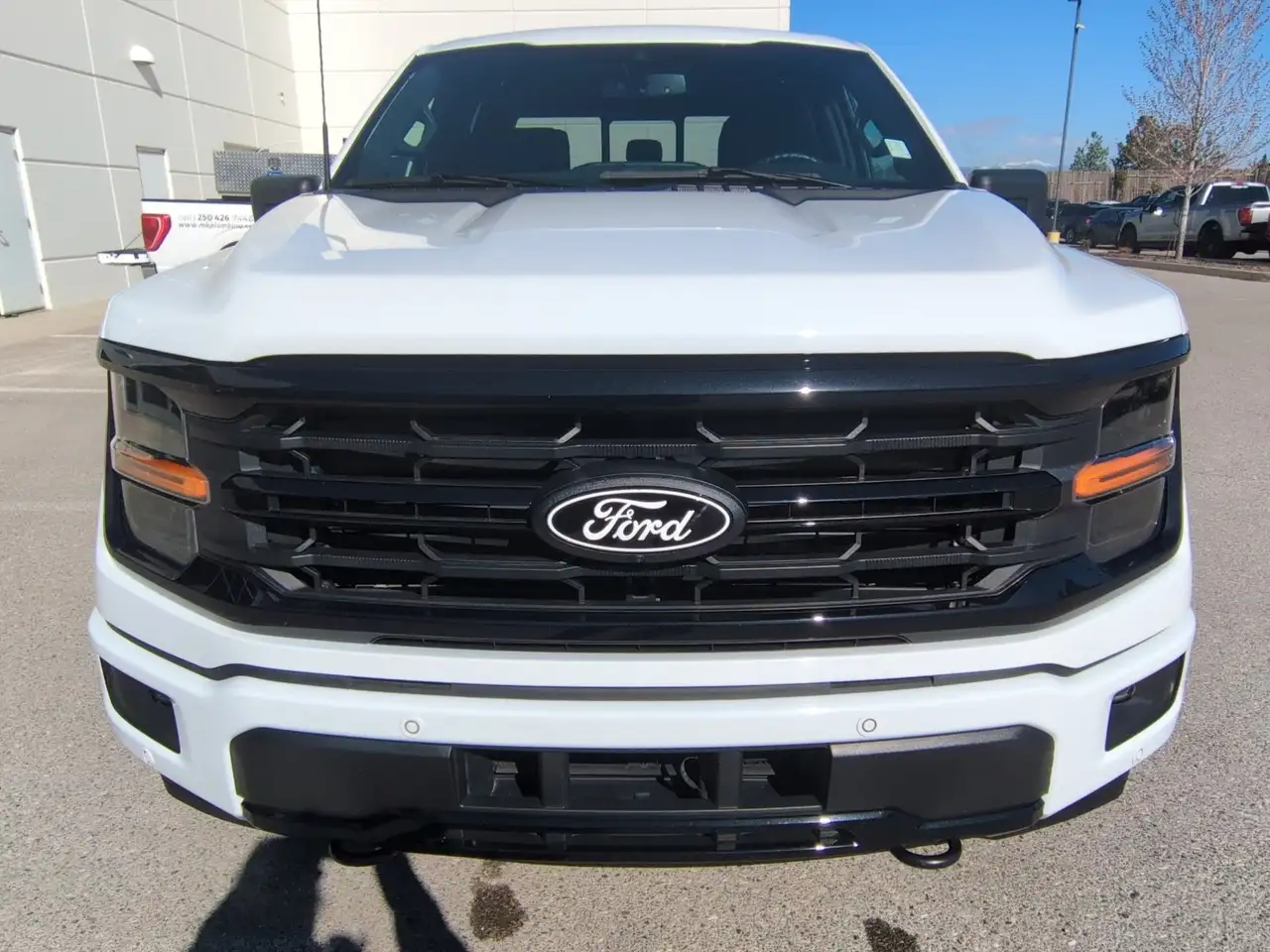 Ford F 150 снимка Ford F 150