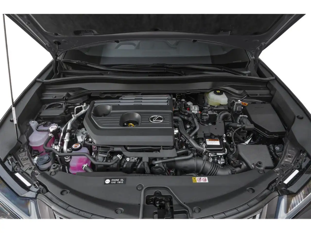 Lexus UX 300h photo Lexus UX 300h