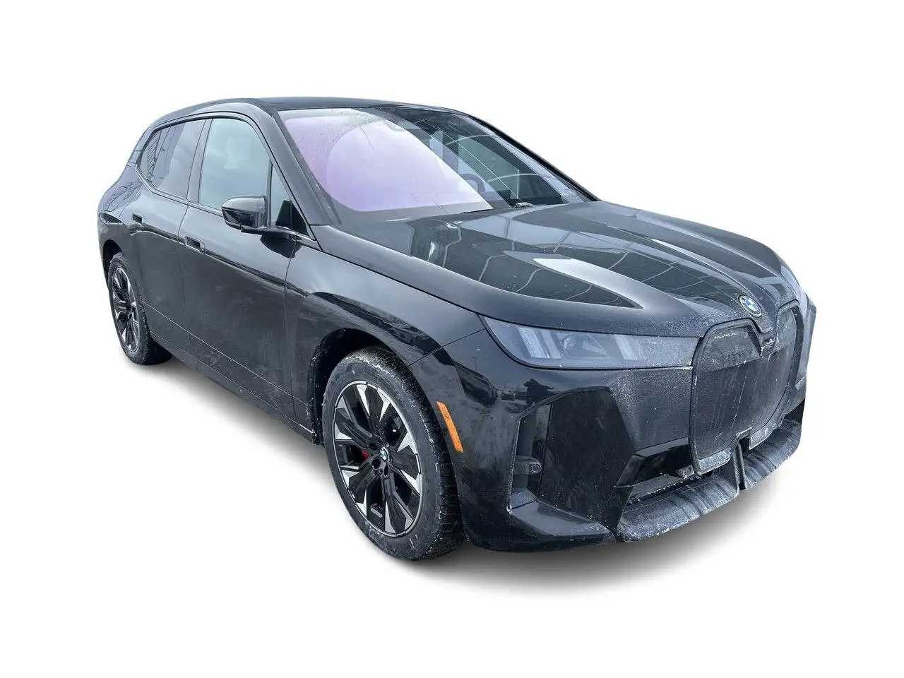 2026 BMW iX