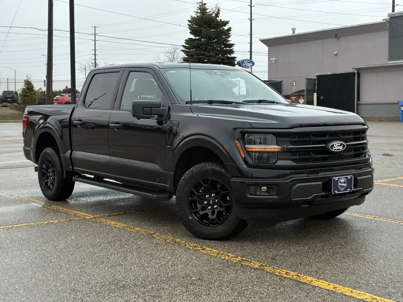 Ford F 150 fotografie Ford F 150