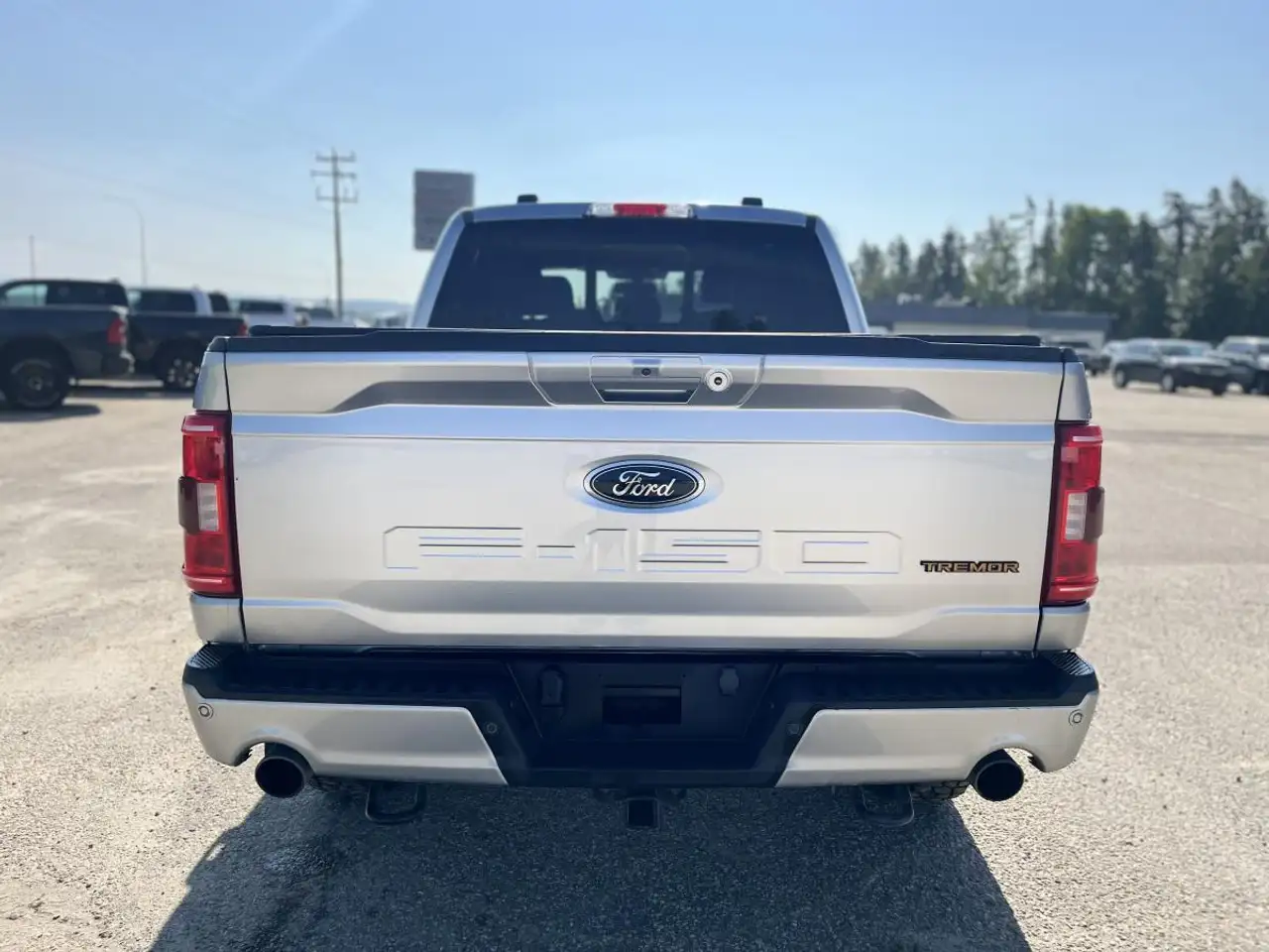 Ford F 150 fotografie Ford F 150