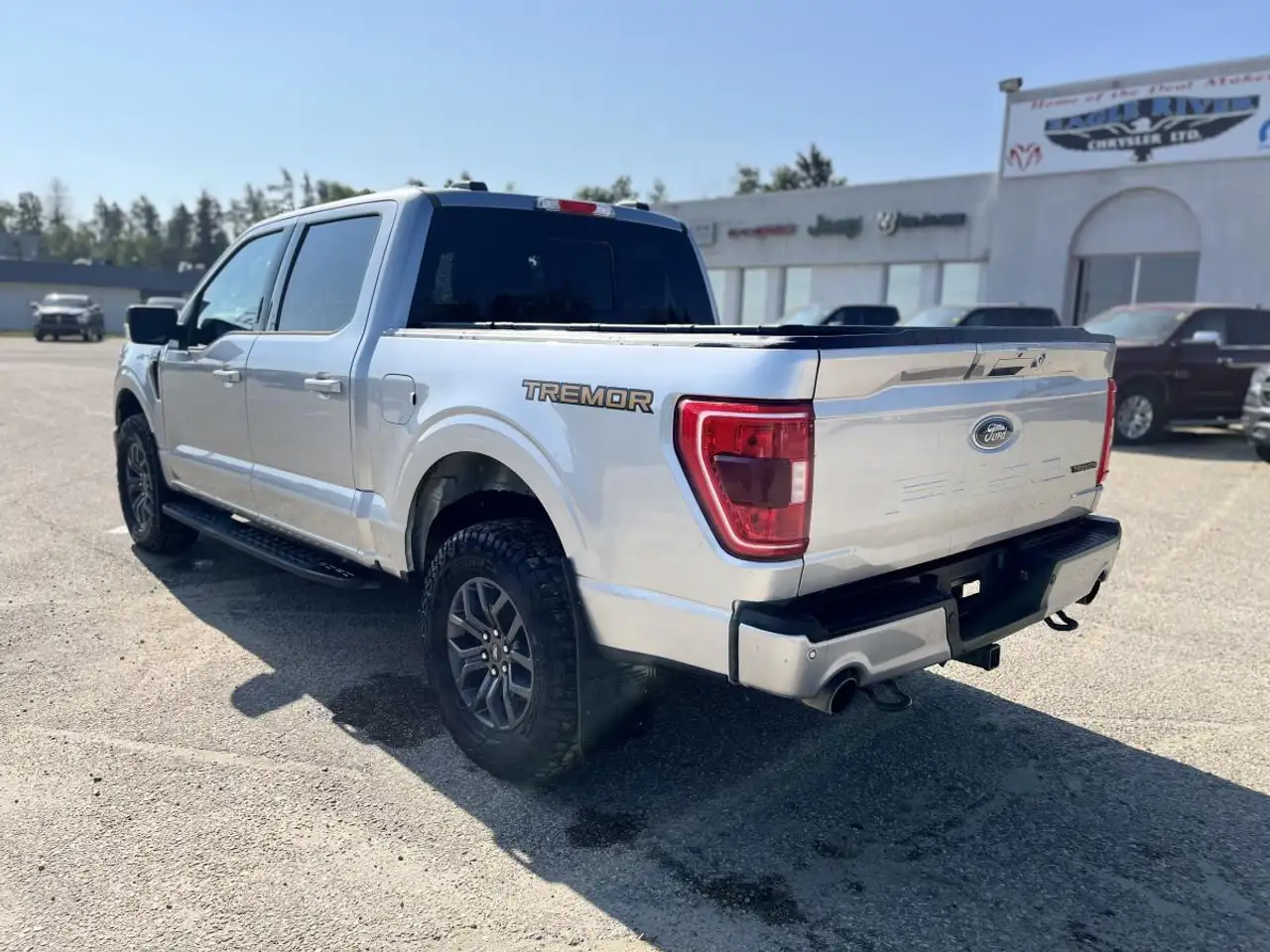 Ford F 150 fotografie Ford F 150