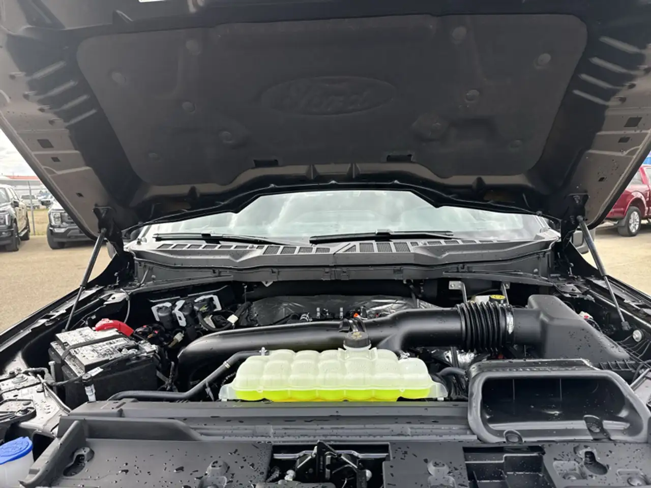 Ford F 150 fotografie Ford F 150
