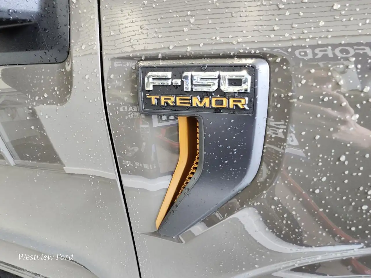 Ford F 150 fotografie Ford F 150