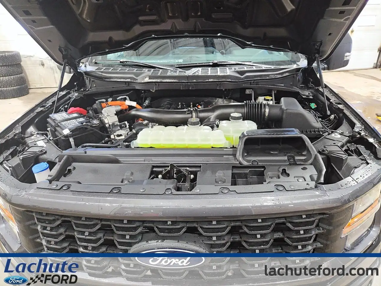 Ford F 150 photo Ford F 150
