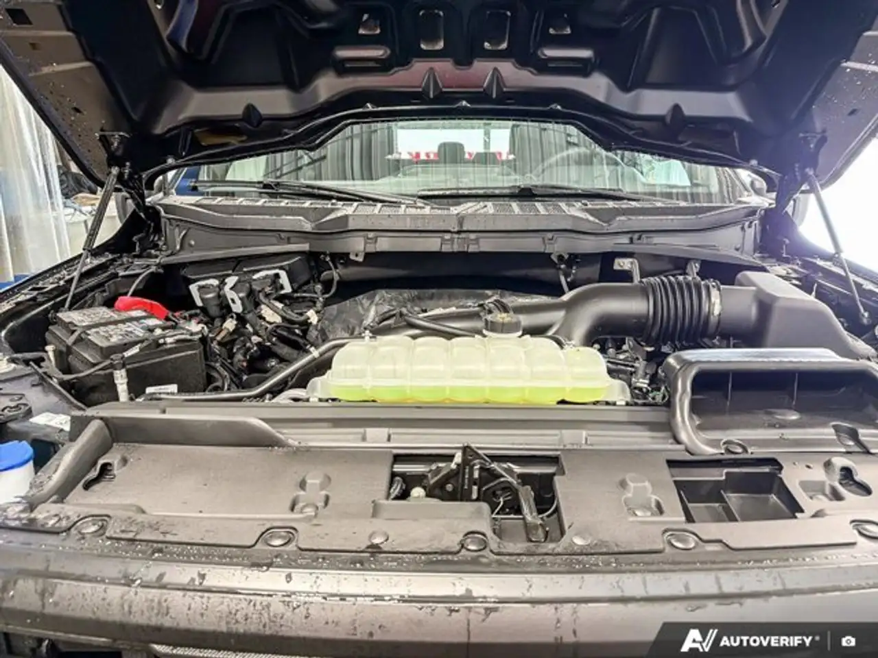 Ford F 150 fotografie Ford F 150
