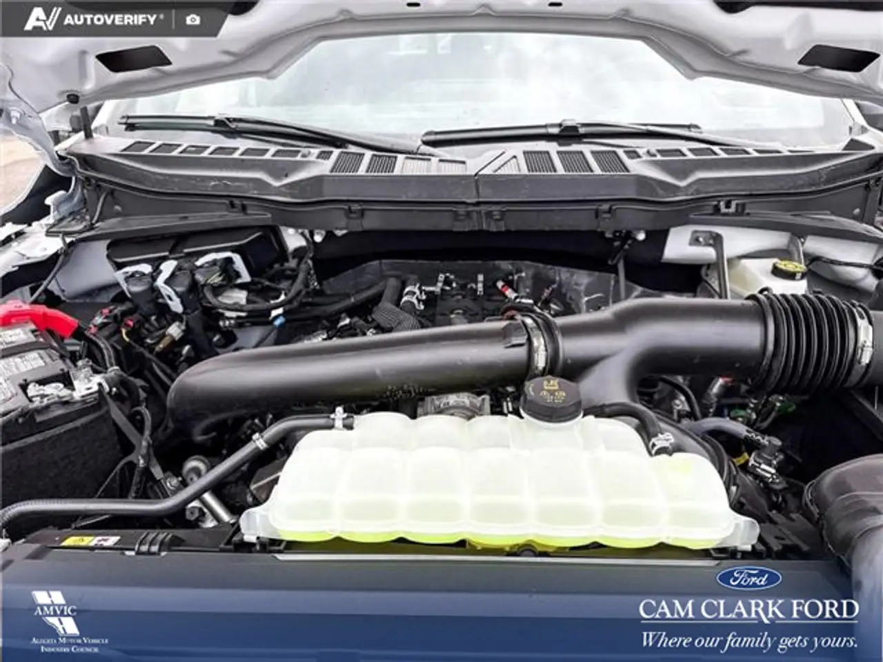 Ford F 150 photo Ford F 150