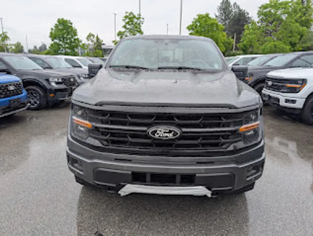 Ford F 150 photo Ford F 150