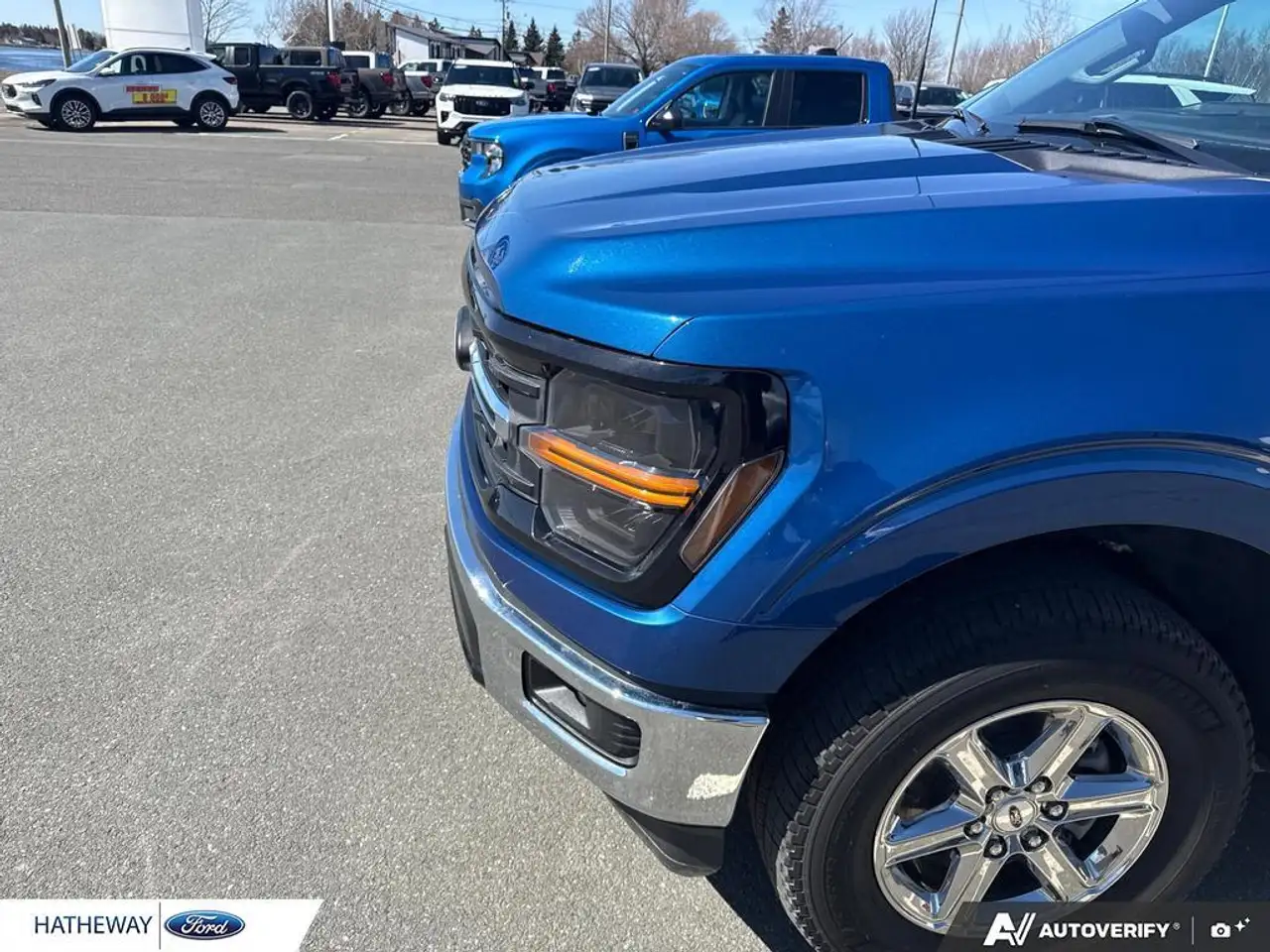 Ford F 150 fotografie Ford F 150