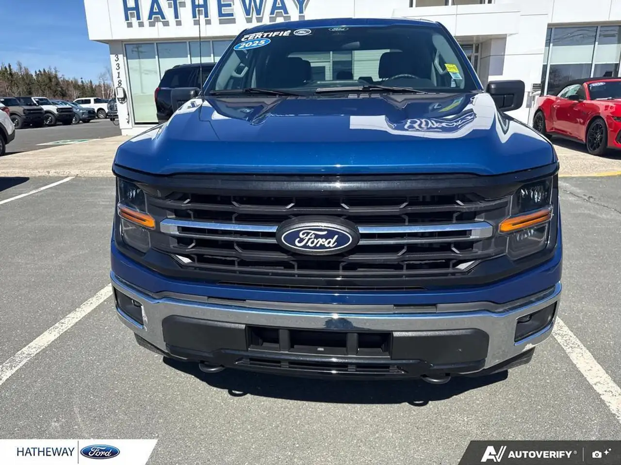 Ford F 150 fotografie Ford F 150