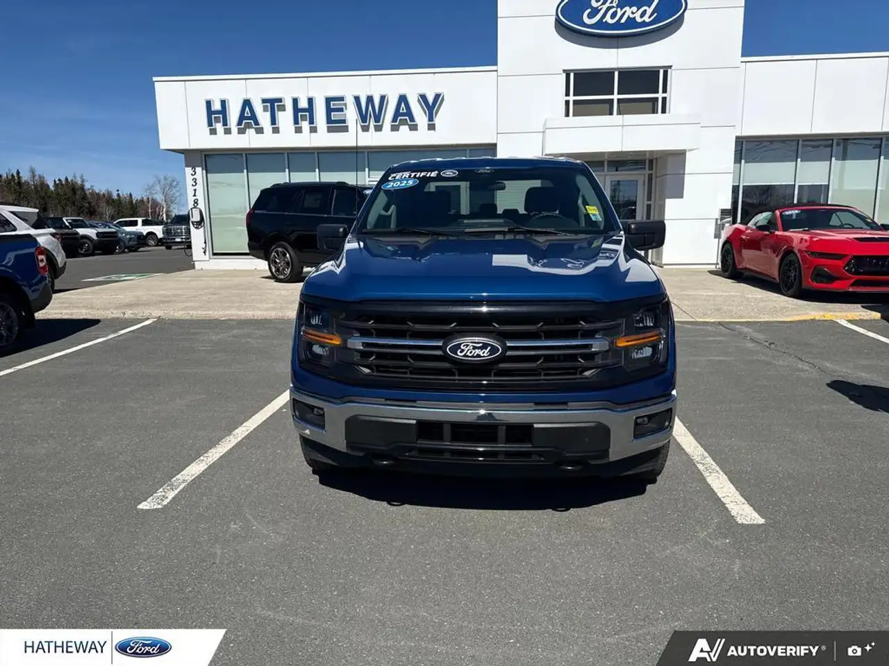 Ford F 150 fotografie Ford F 150
