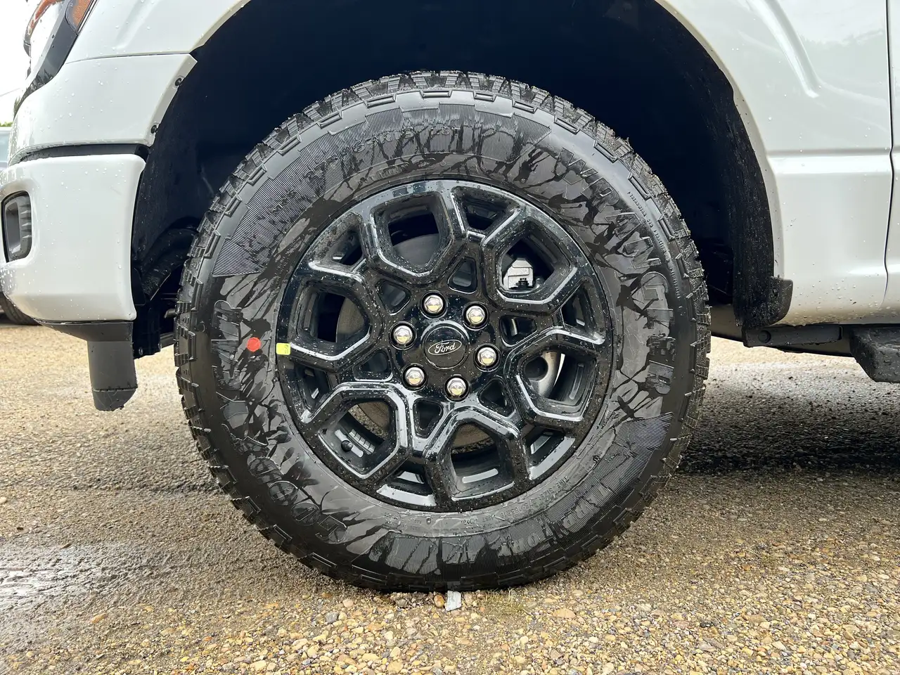 Ford F 150 fotografie Ford F 150