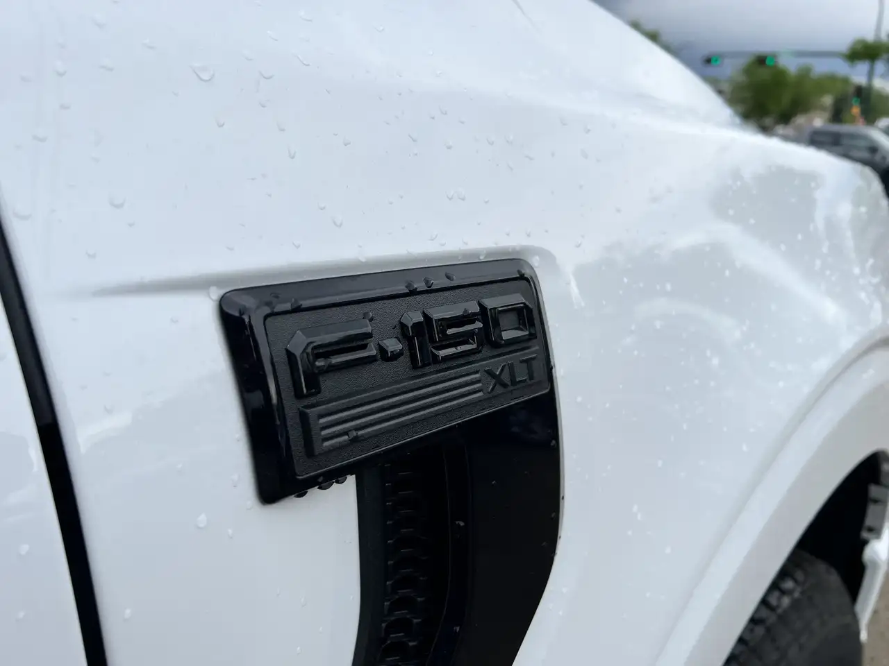 Ford F 150 fotografie Ford F 150