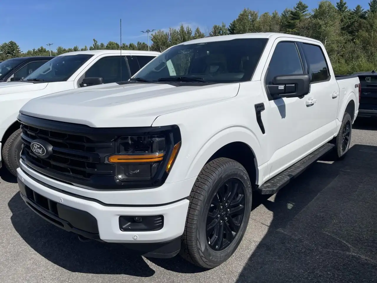 Ford F 150 снимка Ford F 150