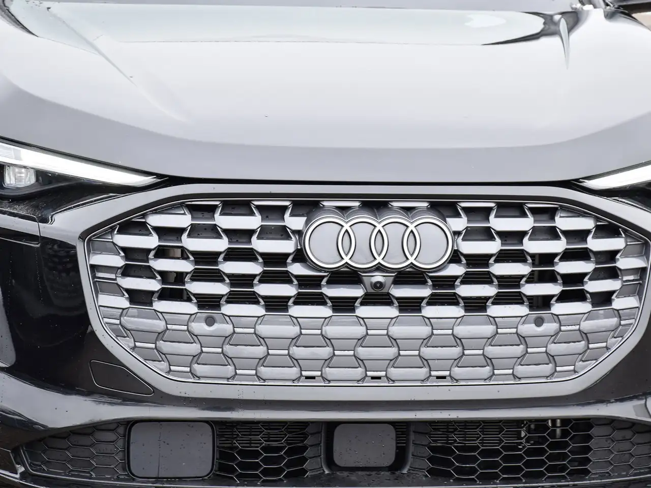 Audi Q5 fotografie Audi Q5