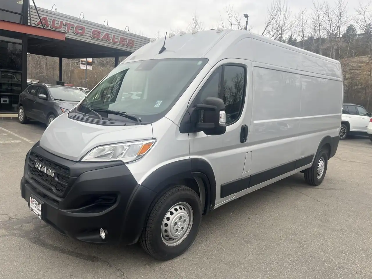 RAM Promaster снимка RAM Promaster