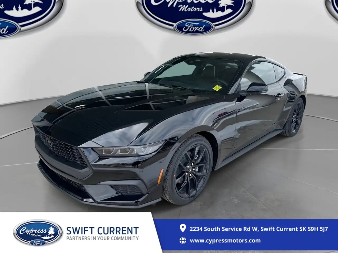 Ford Mustang fotografie Ford Mustang