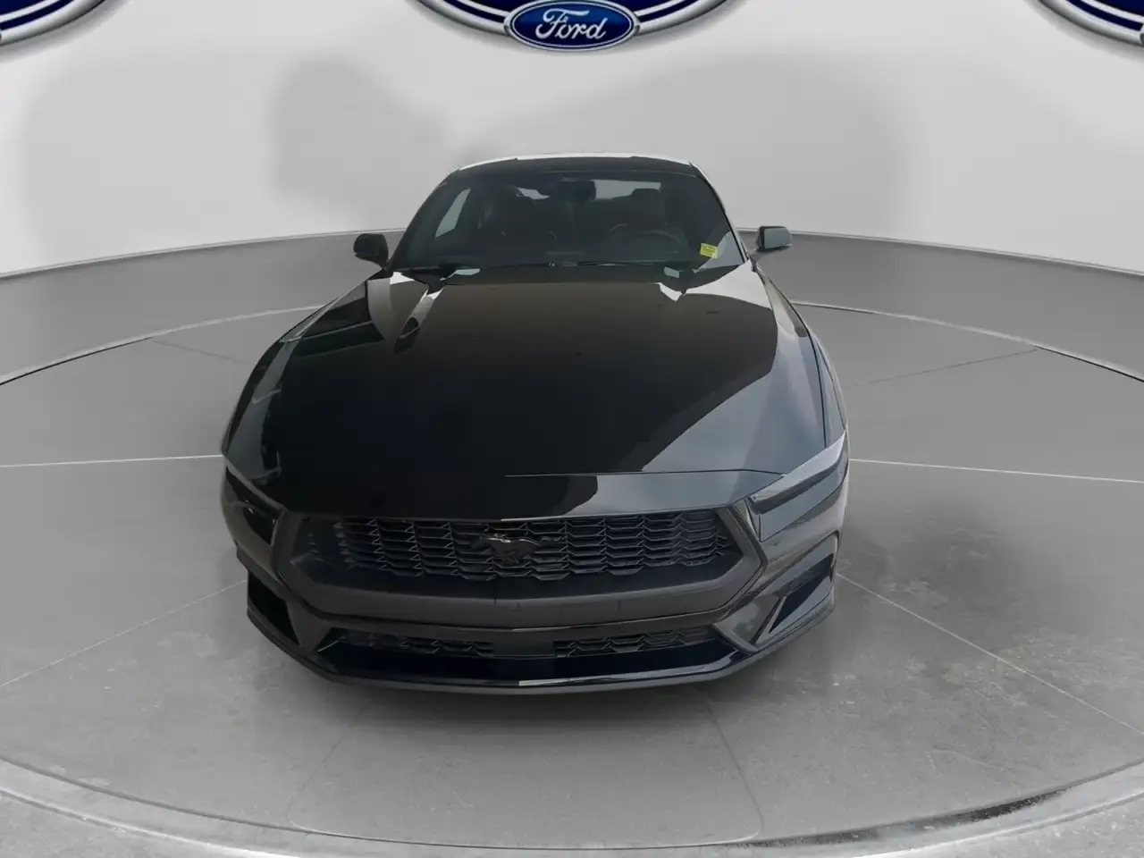 Ford Mustang fotografie Ford Mustang