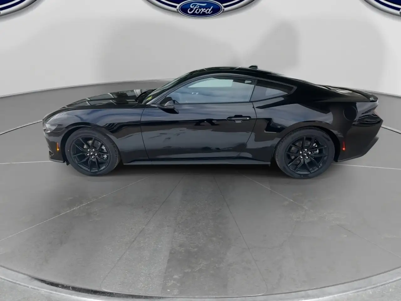 Ford Mustang fotografie Ford Mustang