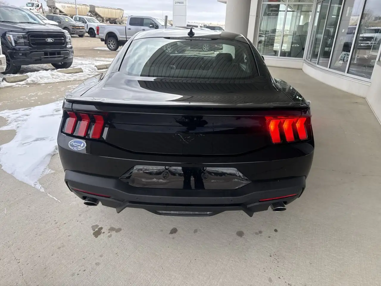 Ford Mustang fotografie Ford Mustang