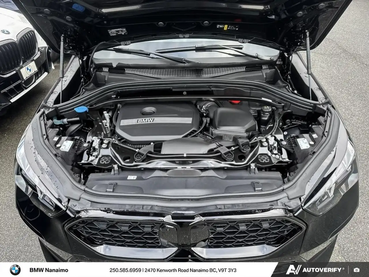 BMW X2 photo BMW X2