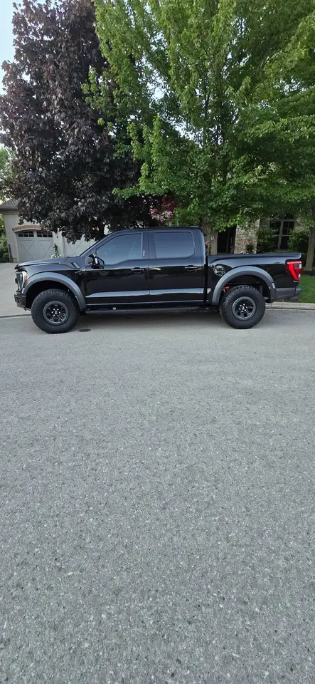 Ford F 150 photo Ford F 150